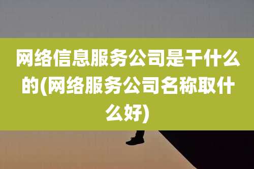 网络信息服务公司是干什么的(网络服务公司名称取什么好)