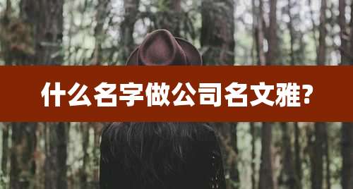 什么名字做公司名文雅?