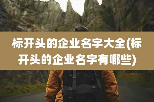 标开头的企业名字大全(标开头的企业名字有哪些)