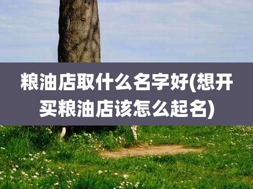 粮油店取什么名字好(想开买粮油店该怎么起名)
