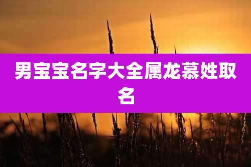 男宝宝名字大全属龙慕姓取名