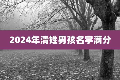 2024年清姓男孩名字满分