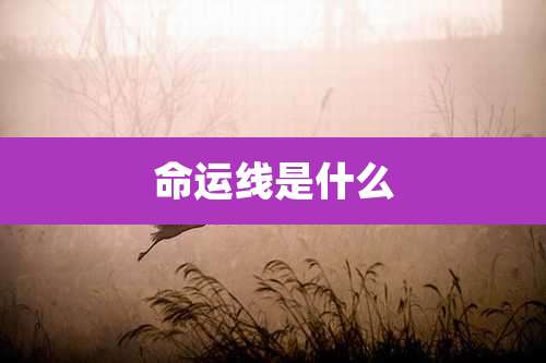 命运线是什么