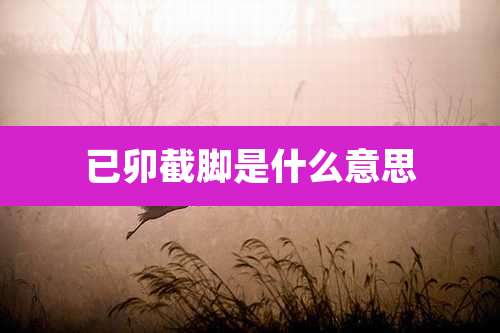 已卯截脚是什么意思