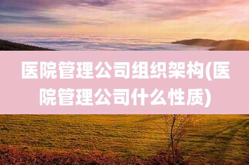 医院管理公司组织架构(医院管理公司什么性质)