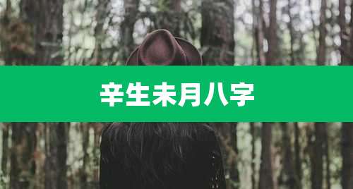 辛生未月八字