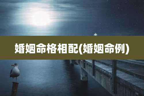 婚姻命格相配(婚姻命例)