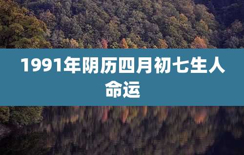 1991年阴历四月初七生人命运