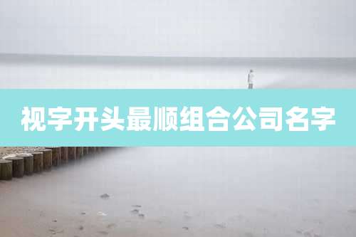 视字开头最顺组合公司名字