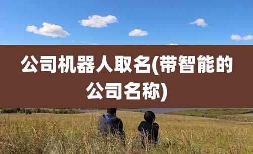 公司机器人取名(带智能的公司名称)