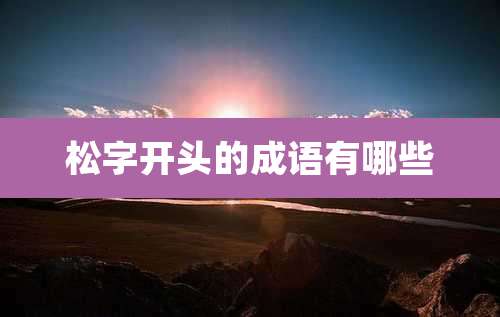 松字开头的成语有哪些