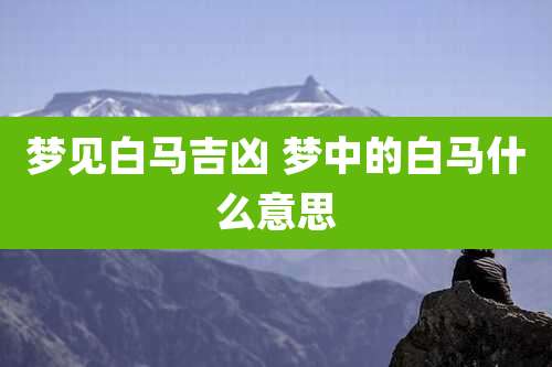 梦见白马吉凶 梦中的白马什么意思