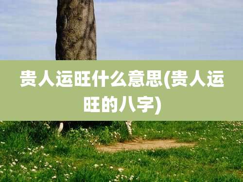 贵人运旺什么意思(贵人运旺的八字)