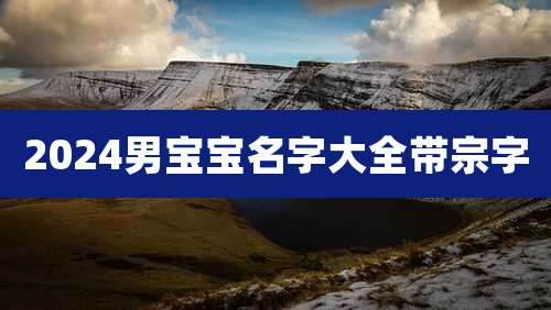 2024男宝宝名字大全带宗字
