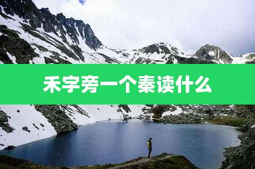 禾字旁一个秦读什么