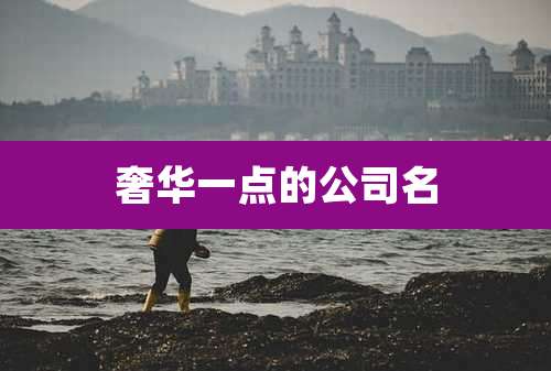 奢华一点的公司名