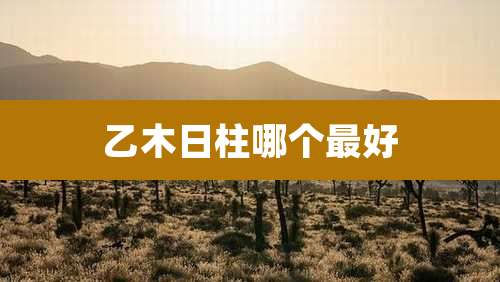 乙木日柱哪个最好