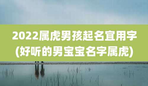 2022属虎男孩起名宜用字(好听的男宝宝名字属虎)