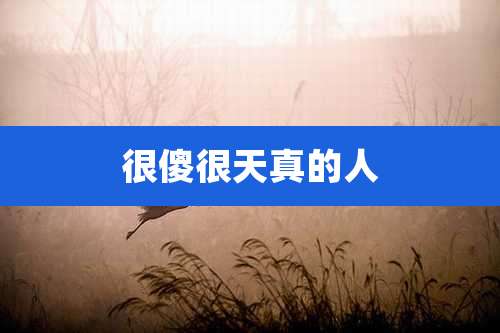 很傻很天真的人