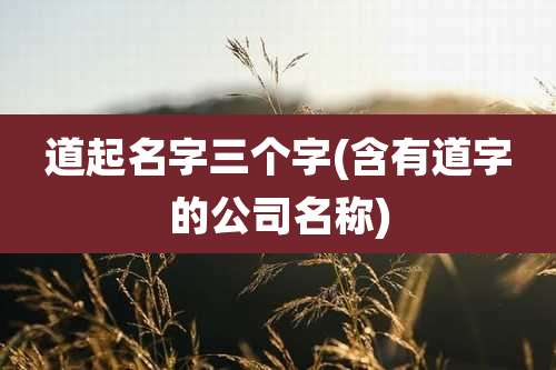 道起名字三个字(含有道字的公司名称)