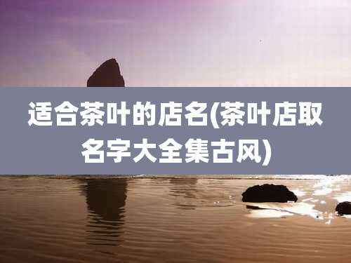 适合茶叶的店名(茶叶店取名字大全集古风)