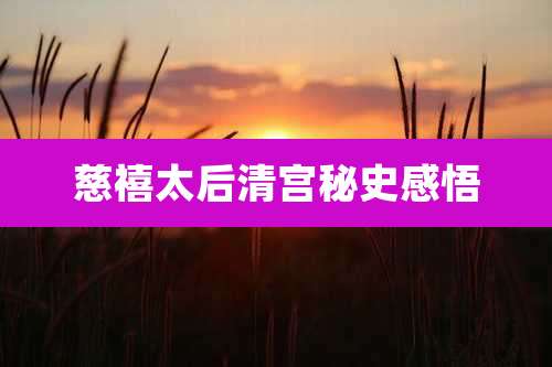慈禧太后清宫秘史感悟