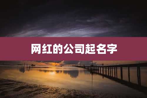 网红的公司起名字