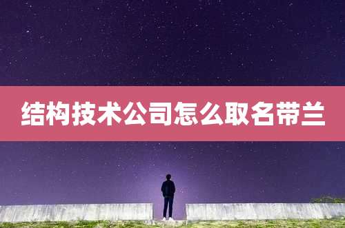 结构技术公司怎么取名带兰