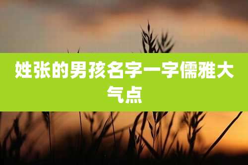 姓张的男孩名字一字儒雅大气点