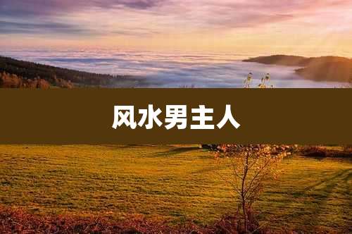 风水男主人