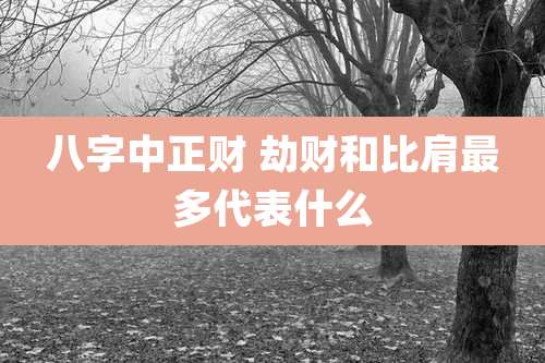 八字中正财 劫财和比肩最多代表什么