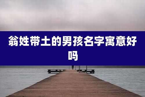 翁姓带土的男孩名字寓意好吗