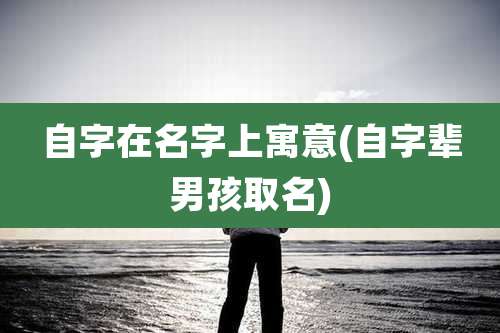 自字在名字上寓意(自字辈男孩取名)