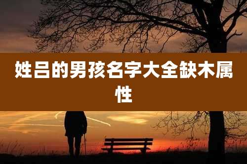 姓吕的男孩名字大全缺木属性