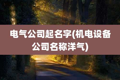 电气公司起名字(机电设备公司名称洋气)