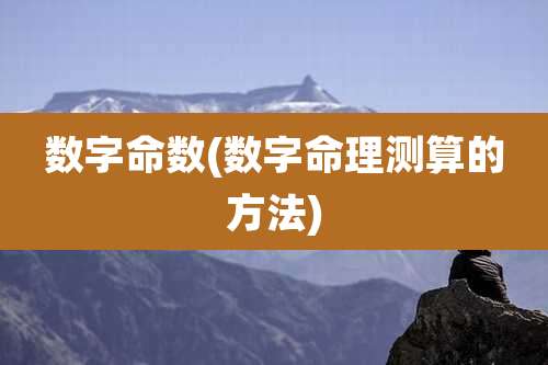数字命数(数字命理测算的方法)
