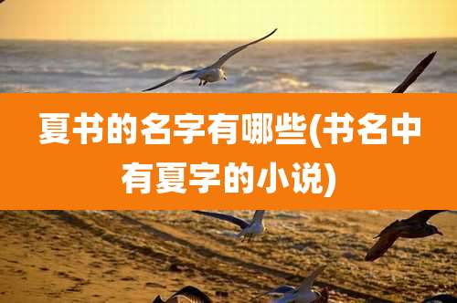 夏书的名字有哪些(书名中有夏字的小说)