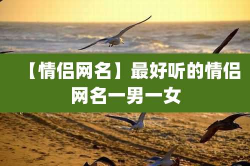 【情侣网名】最好听的情侣网名一男一女
