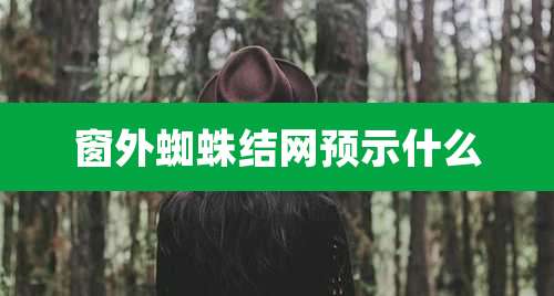 窗外蜘蛛结网预示什么