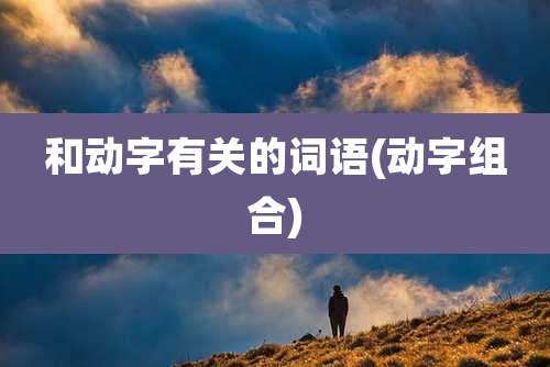 和动字有关的词语(动字组合)