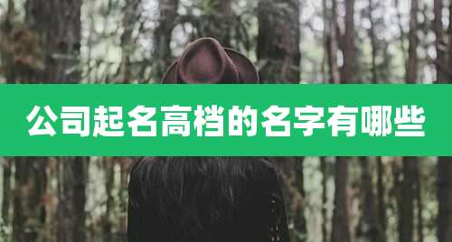 公司起名高档的名字有哪些