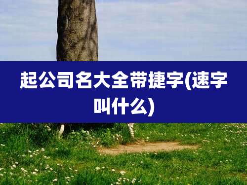 起公司名大全带捷字(速字叫什么)