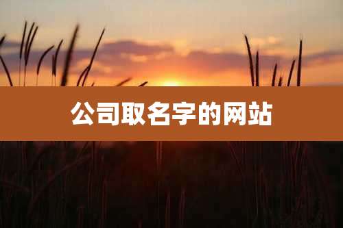 公司取名字的网站