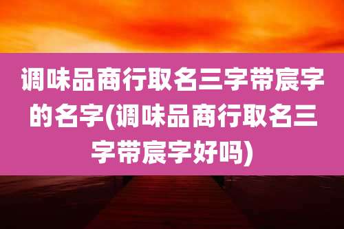 调味品商行取名三字带宸字的名字(调味品商行取名三字带宸字好吗)