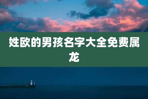 姓欧的男孩名字大全免费属龙