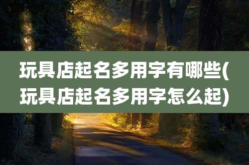 玩具店起名多用字有哪些(玩具店起名多用字怎么起)