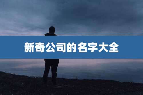 新奇公司的名字大全