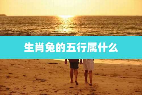 生肖兔的五行属什么