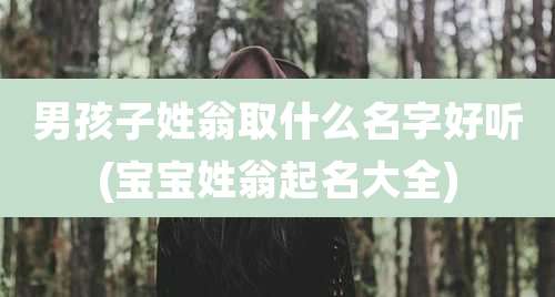 男孩子姓翁取什么名字好听(宝宝姓翁起名大全)