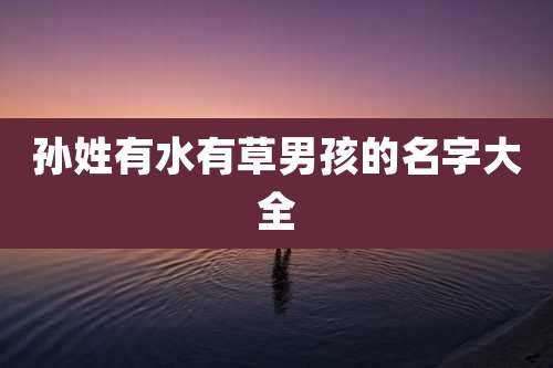 孙姓有水有草男孩的名字大全
